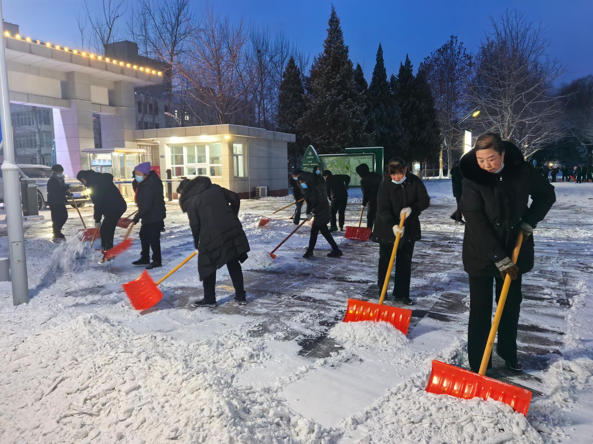 闻雪而动，尽显担当