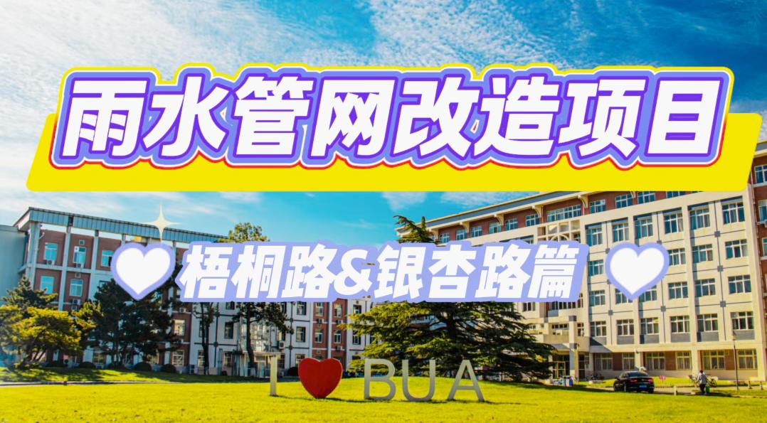 校园基础设施再升级｜梧桐路、银杏路