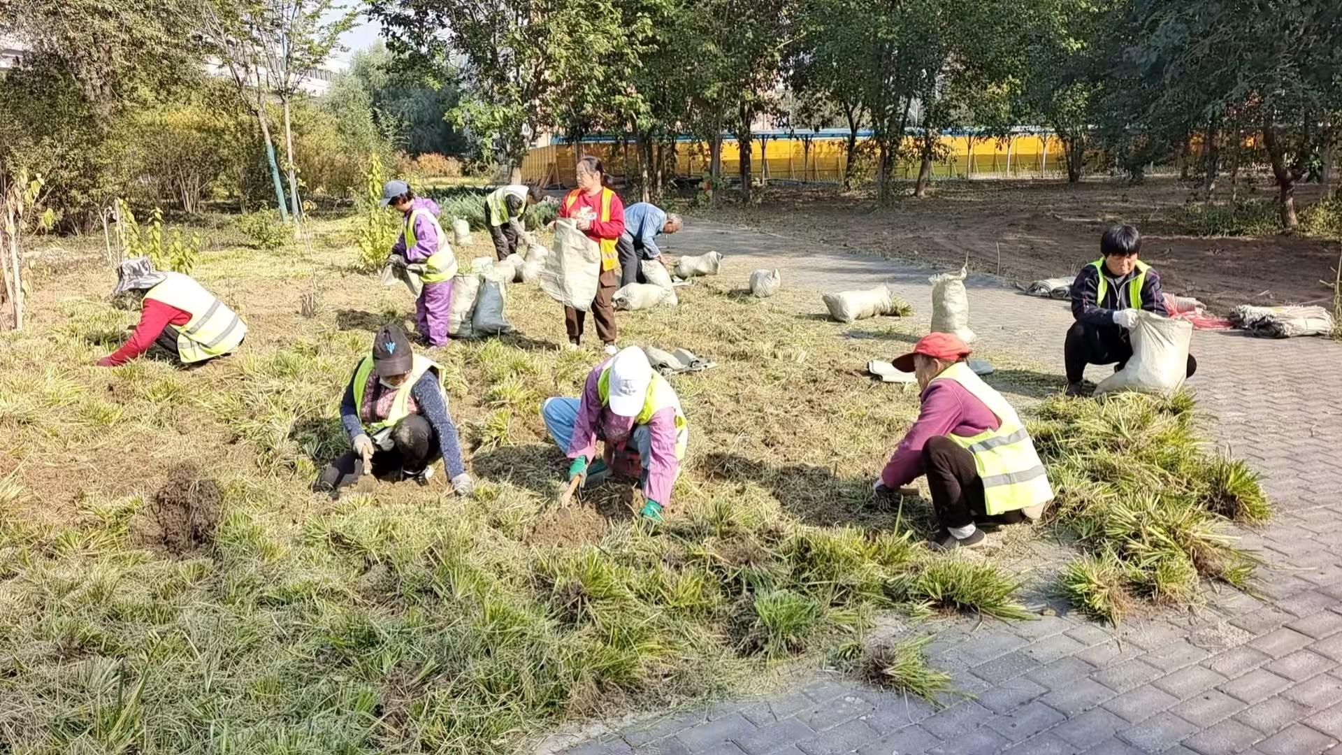 学生宿舍楼建设工程场地平整工作进行