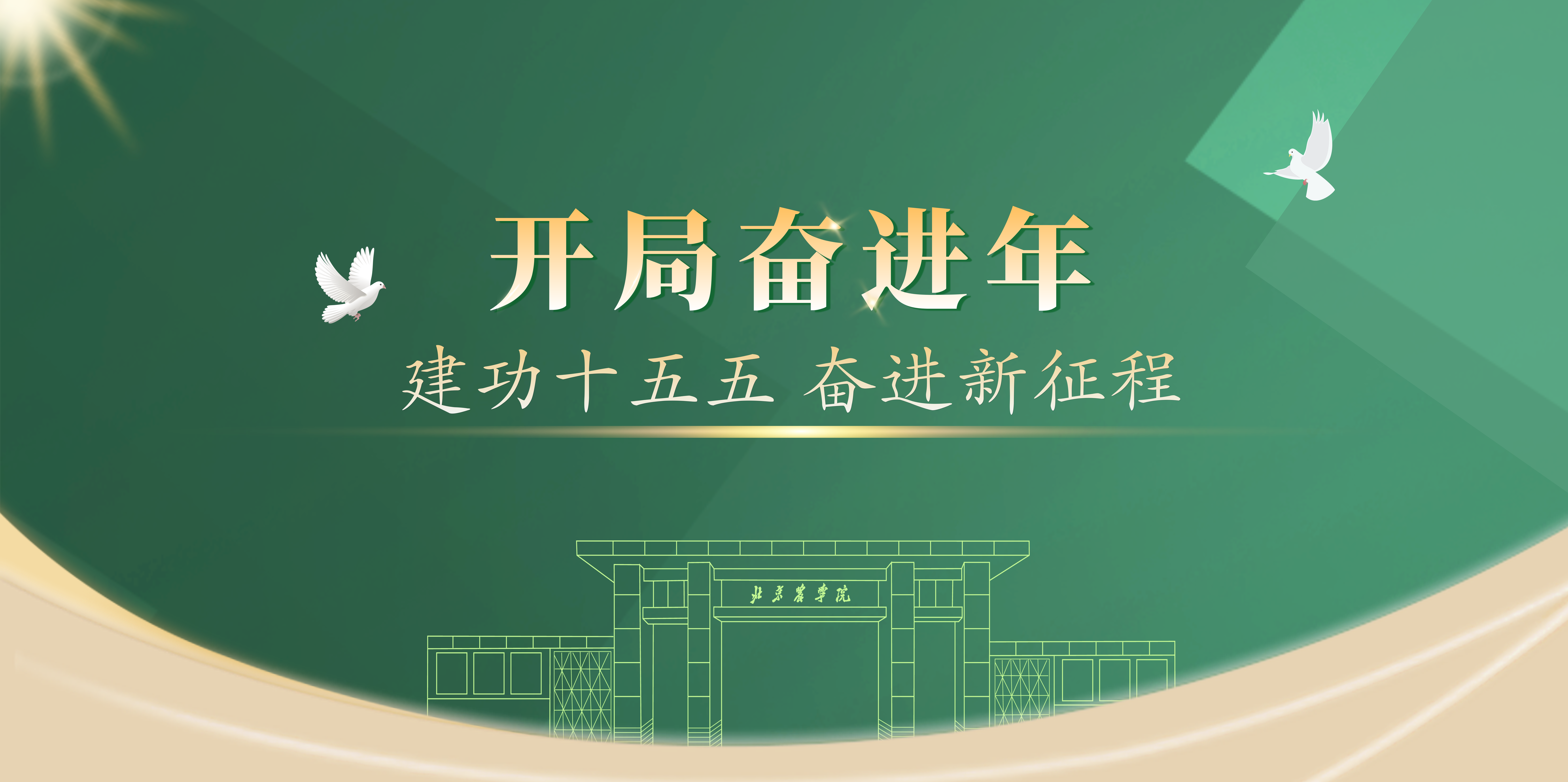 开局奋进年